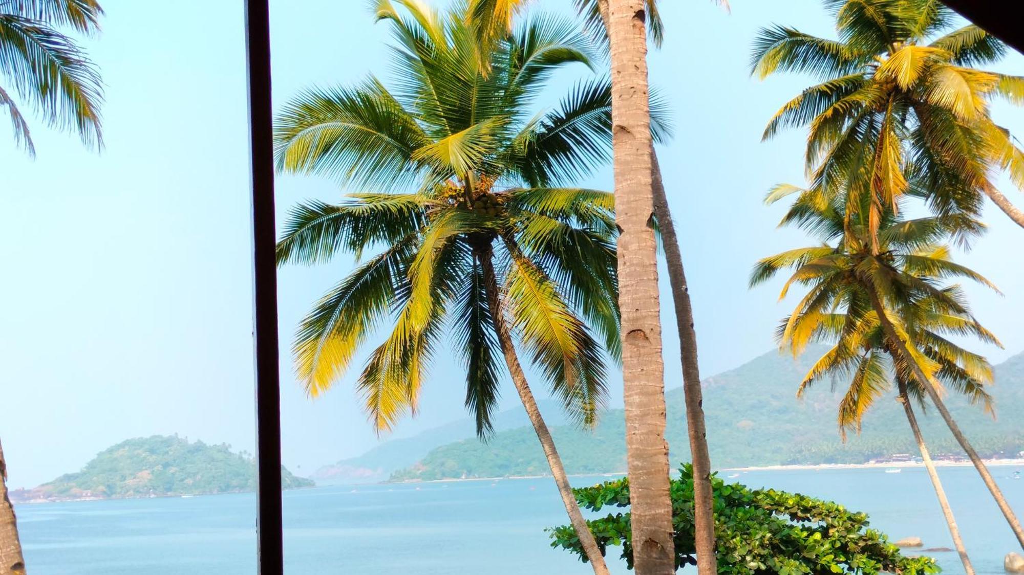Hilltop Seaview Palolem Goa Hotel Bilik gambar
